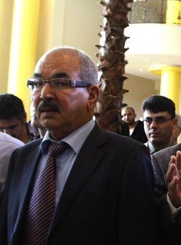 Head of human rights group forms party