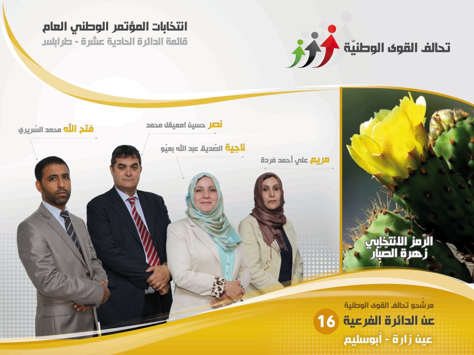 Party Profile: The National Forces Alliance