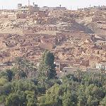Egypt evacuates citizens from Bani Walid
