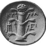 New coins planned