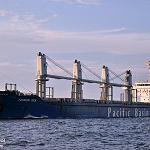 Grain carrier aground inside Tripoli harbour