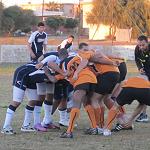 Libyan rugby hits its stride