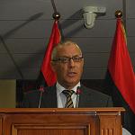 Russia is an important state. We will seek our national interest - Zeidan