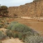 The Libyan desert: natural and human heritage under threat