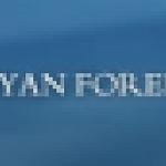 Libyan Foreign Bank gathers subsidiaries for first strategy seminar