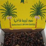 Dates and palm trees festival opens in Benghazi