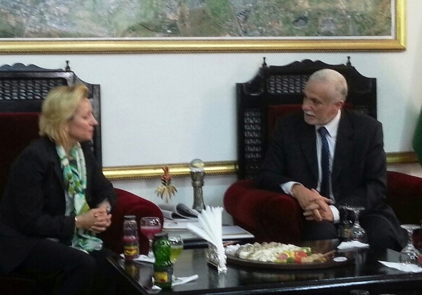 Security focus masks other big issues: EU envoy