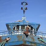 Libya takes first steps towards exporting fish to Europe