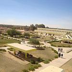 Security fears close Benghazi University's Kufra campus
