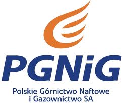 New gas discovery in Murzuk Basin