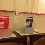 A look at elections abroad: voting in London