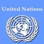 Libya’s continued political and institutional division, and absence of accountability for national resources cannot continue: UN Working Group