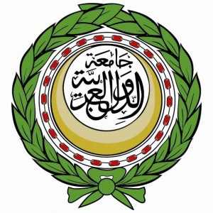 Arab League rejects HoR foreign intervention call