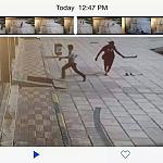 Libyan Airlines' Benghazi office burgled