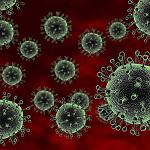Tobruk to bar chicken imports from Egypt after bird 'flu scare
