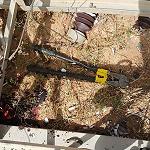Two die trying to steal Sebha power cable