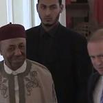 Thinni briefs Maltese Prime Minister on Libyan situation