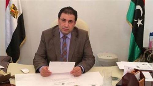 Cairo envoy suspended after just one week in the job