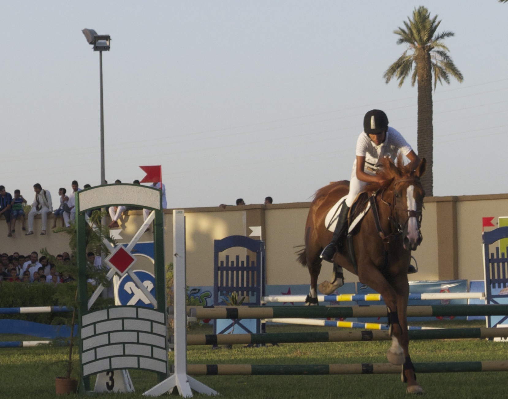 Misrata show-jumping competition draws crowds
