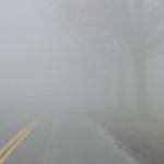 Fog surrounds Dialogue progress