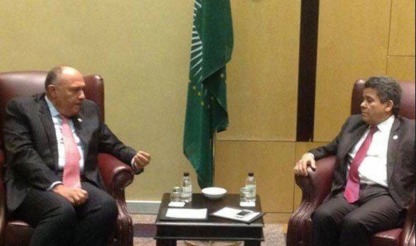 Dairi discusses Libya problems with Shoukry