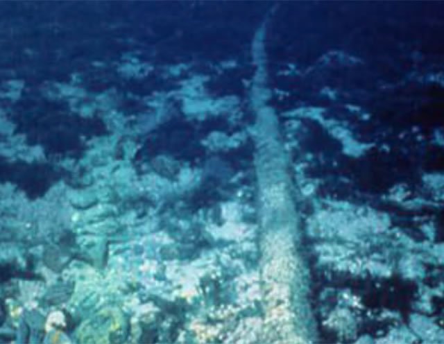 Damaged internet sea cable fixed by tomorrow says LTT
