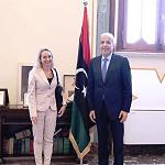 Italian chargé d'affaires in lengthy talks on support for Libya