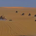 Kufra Salafist brigade kills 13 JEM members near Jaghboub: report