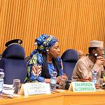 Mini African summit in Addis Ababa on Libyan crisis