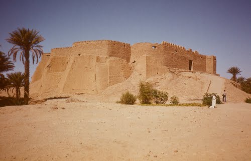 New university to be established in Fezzan
