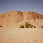 New university to be established in Fezzan