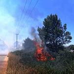 Farmers struggle to control Shahat woodland fires with spray guns