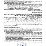 Amazigh council describe LNA as terrorist militia