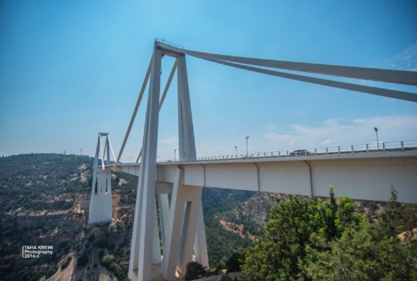 Cracked Beida road bridge declared safe