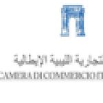 Positive signs of change in Libya, Italy must support mayors’ process and engage in active presence: Libyan-Italian Chamber of Commerce