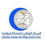 Animal Health rejects shipments of 2,671 cattle at Tripoli port