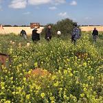 Filipino gravesites located six years after kidnap and execution by ISIS
