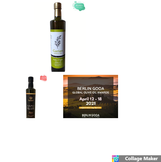 Libyan olive oils win prizes at Berlin awards – plans to increase production