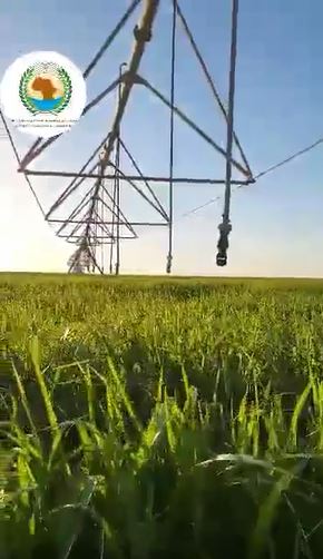 8th Libya Agricultural Exhibition: return of pivot irrigation systems post Ukraine war food crisis