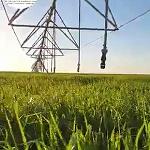 8th Libya Agricultural Exhibition: return of pivot irrigation systems post Ukraine war food crisis