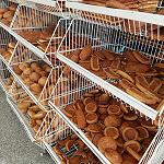 Attorney General to investigates bakery use of banned potassium bromate in bread