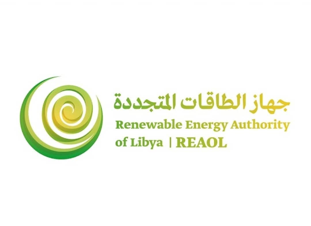 REAoL workshop on PPP in the renewables sector -to be held soon