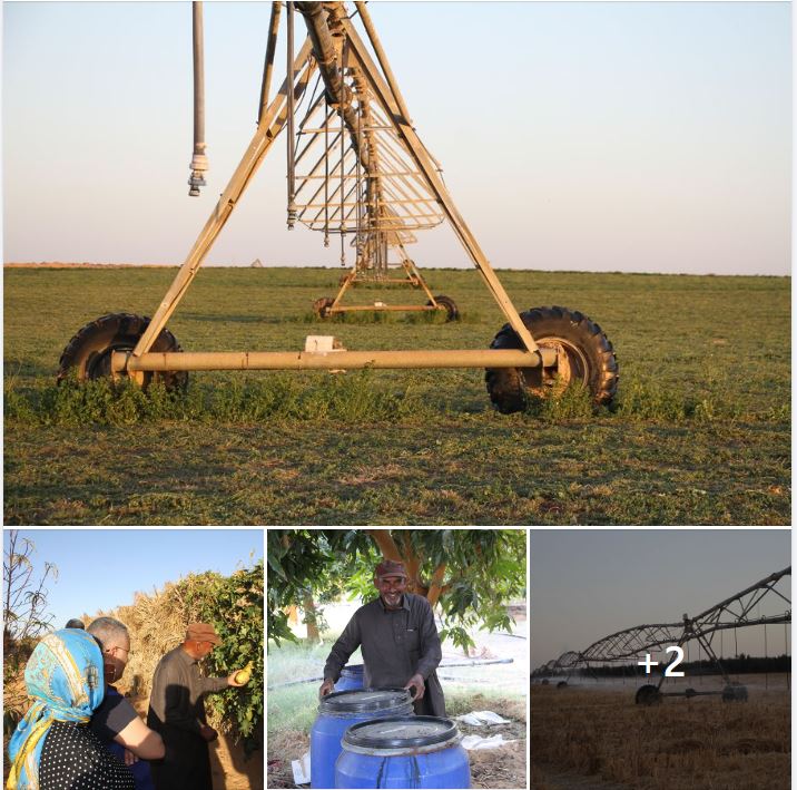 UNDP visits Kufra to assess how it can help in developing agriculture
