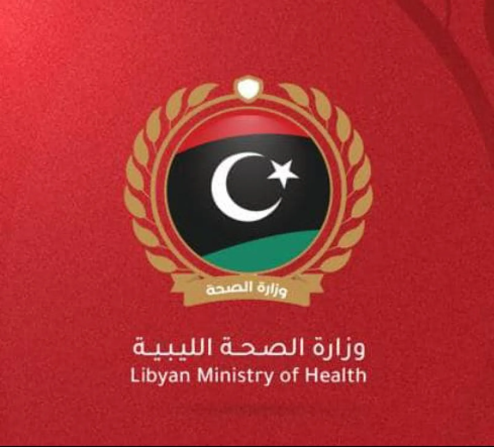 Health Ministry signs Strategic Cooperation Agreement 2026-2027 with WHO - announces results of the 100-Day Initiative