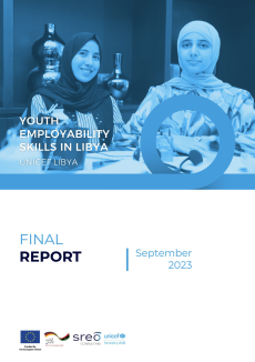 UNICEF Libya youth employability survey makes key findings and recommendations