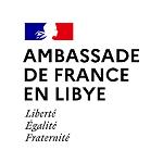 New French Ambassador to Libya Thierry Vallat takes over from Mostafa Mihraje